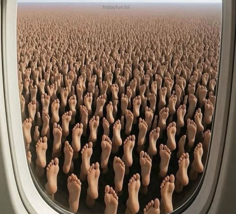 We are now cruising over 40,000 feet! 😃
