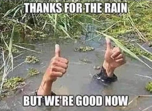 Meanwhile after the UK hosepipe bans!  🤪