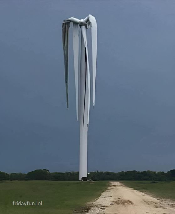 Oh you have to water them? 😏