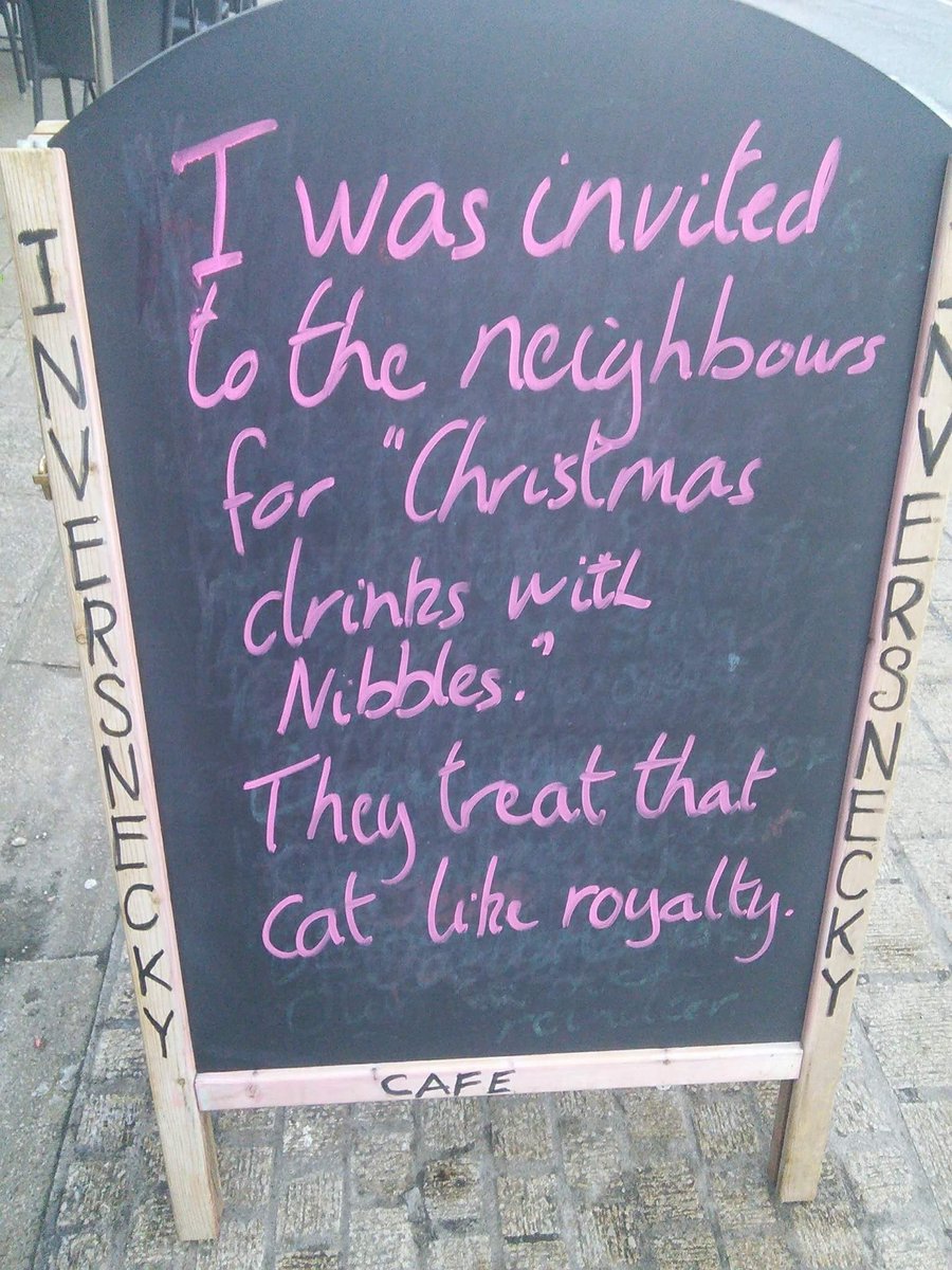 Christmas Nibbles - nice! 😹