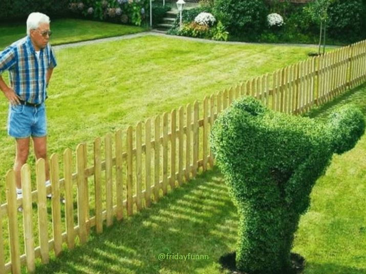When 'love thy neighbour' goes wrong! 😆