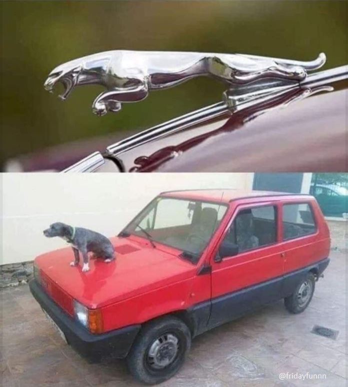 Nailed it! 😀