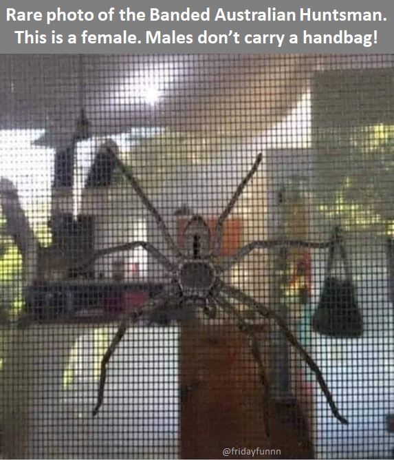 Spotted in Australia! 😀
