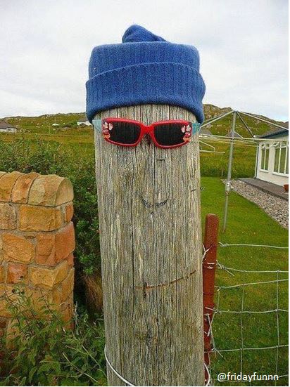 This has to be the coolest post I've seen today! 😀