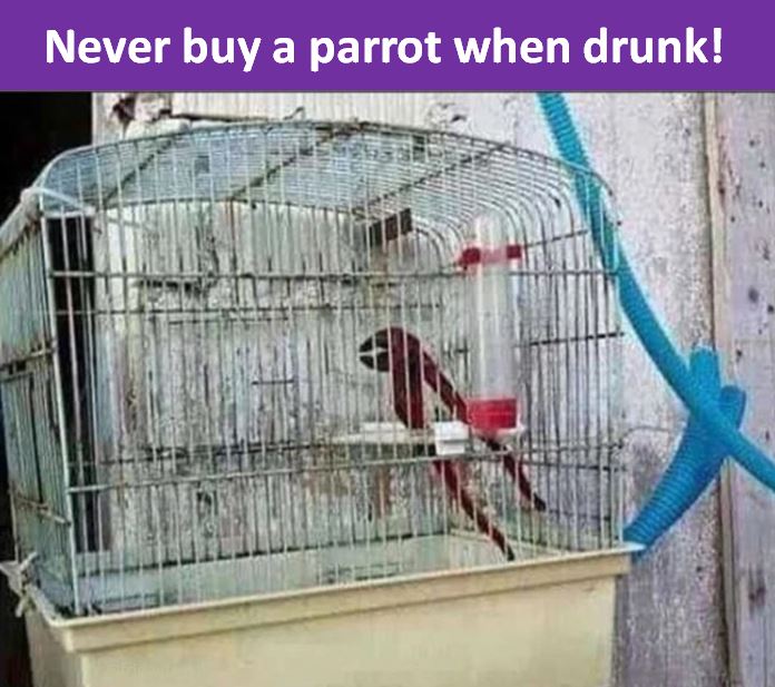 Another top tip - you're welcome! 😀