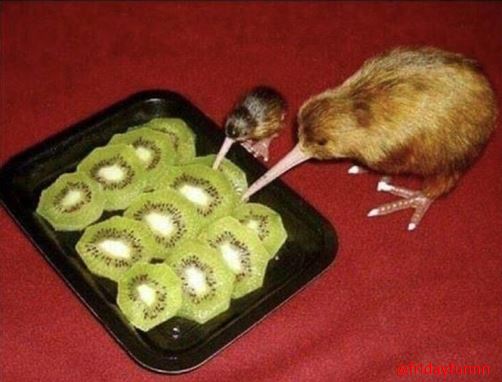 That has to be CANNIBALISM? 😲