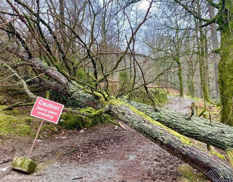 Lucky they have a sign for that! 😀