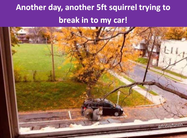He didn't get in! 😀