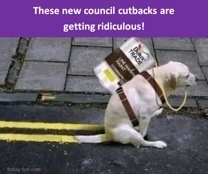 Doing a good job though! 🐶
