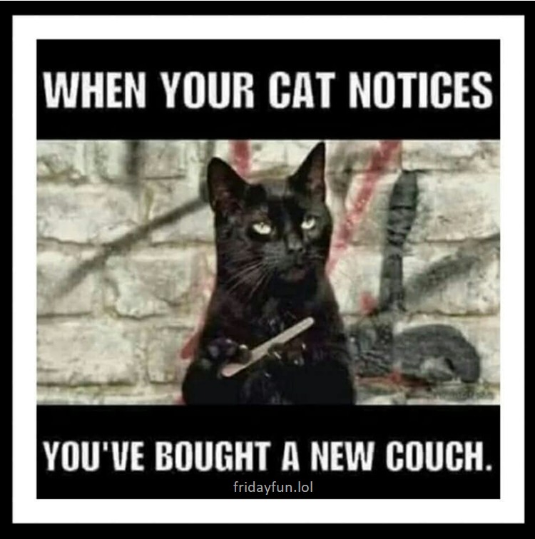 True, right? 😺