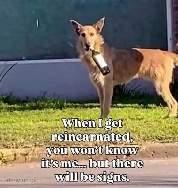 Remind you of anyone? 😃