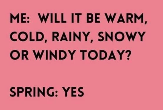 Spring has sprung! 😃