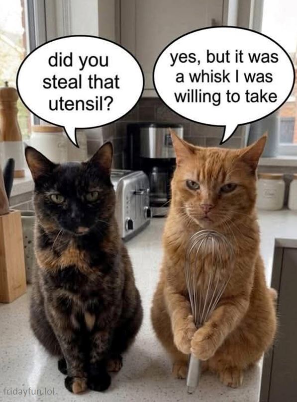 Groan! 😺