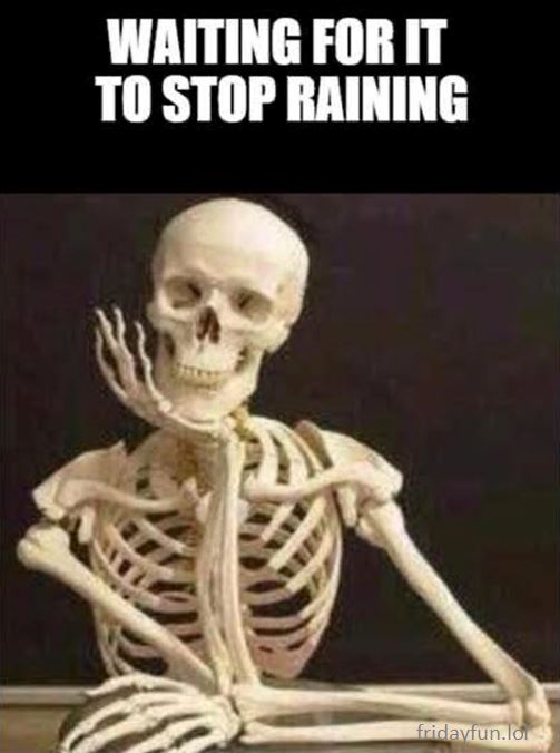 Meanwhile in the UK! 🤨