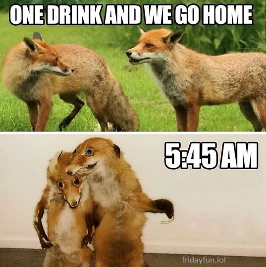 It's Friday. Drink responsibly! 😃